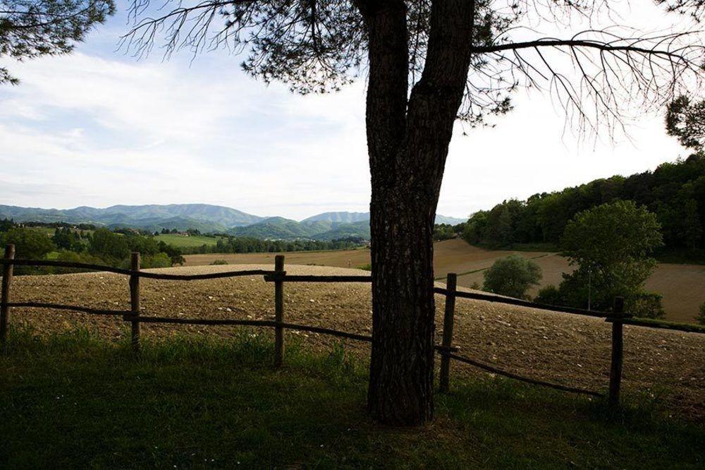 Agriturismo La Topaia Borgo San Lorenzo Exterior foto